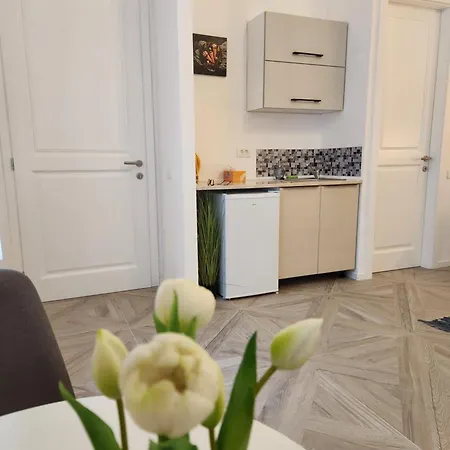 Ultra Panoramic Cu Balcon Apartment *