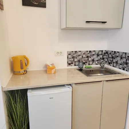 Ultra Panoramic Cu Balcon Apartment Timisoara
