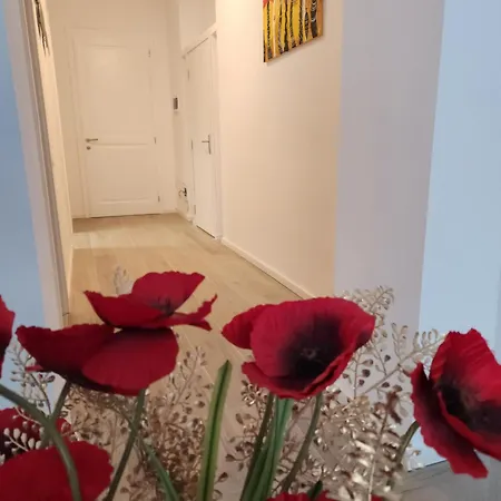 Ultra Panoramic Cu Balcon Apartment Timisoara