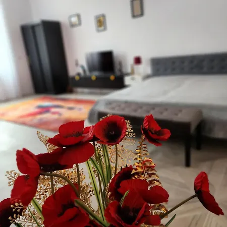 Ultra Panoramic Cu Balcon Apartment Timisoara
