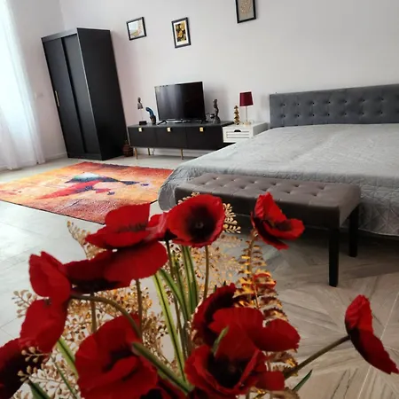 Apartment Ultra Panoramic Cu Balcon Timisoara